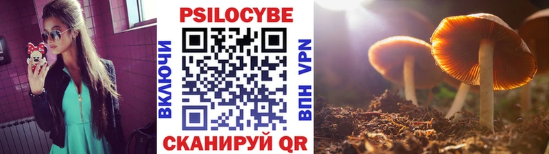 купить наркотик Талица Галлюциногенные грибы GOLDEN TEACHER